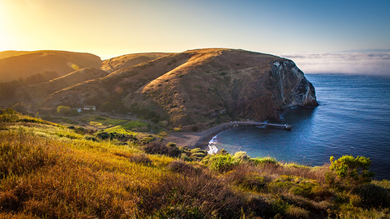 Grassy bluffs overlook a historic ranch and calm cove as fog rolls in at Santa Cruz Island, Channel Islands.