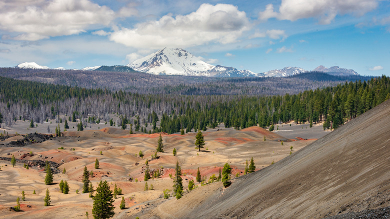 Multi-color volcanic dunes near a pine forest and snow-covered mountains at Lassen Volcanic National Park.