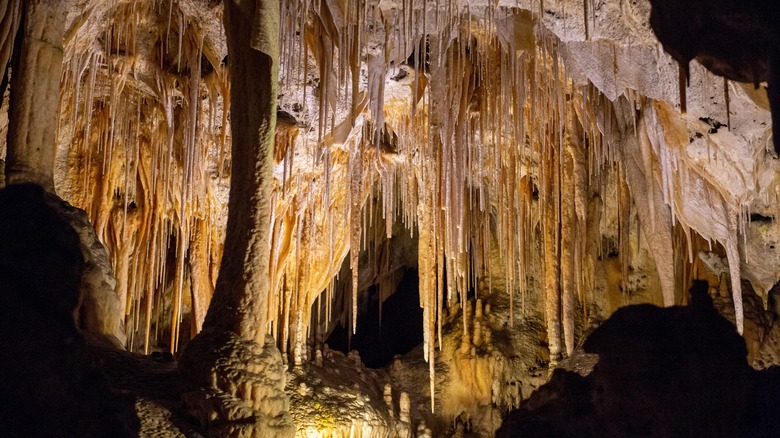 Views of geological features of Carlsbad Caverns in Carlsbad Caverns National Park, New Mexico