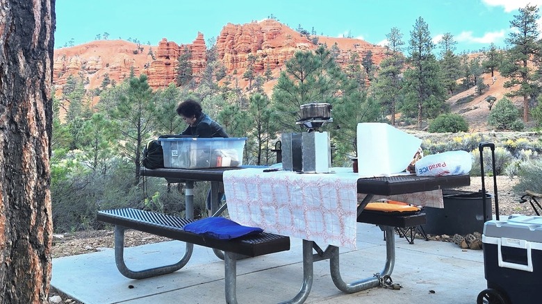 A picnic table and camping gear next to tree at Red Canyon Campground