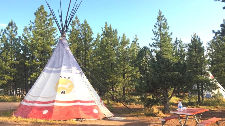 A colorful teepee set in a dense pine forest at Ruby's Inn RV Park