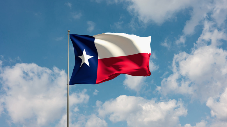 The Texas flag