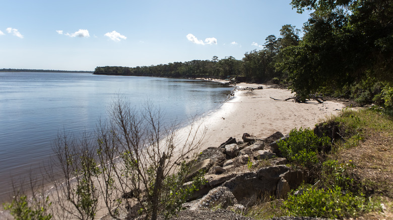 Coastline of Crooked River State Park in Georgia