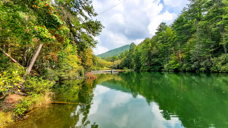 The scenery at Unicoi State Park