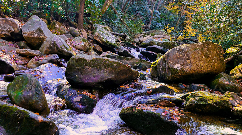 Fall photos taken at South Mountains State Park in North Carolina