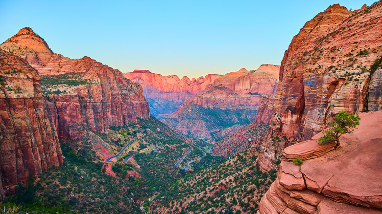 Panoramic view of Zion National Park's red rock canyons and winding valley road at sunset