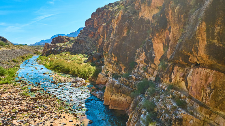 The Virgin River flowing through a rocky desert canyon in Arizona