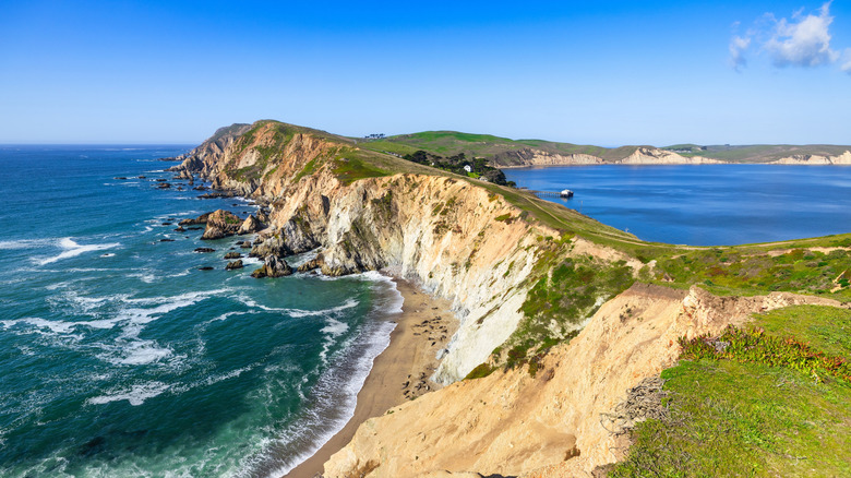 Dramatic cliffs with waves crashing and clear blue skies at Point Reyes National Seashore.
