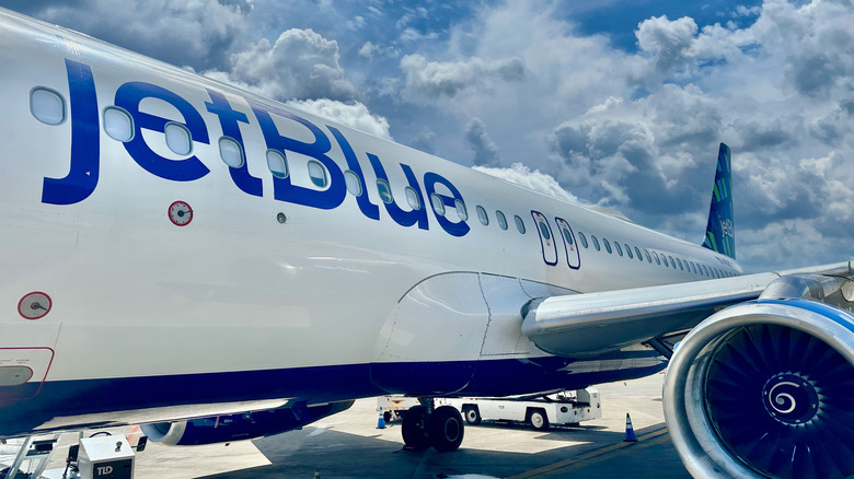 A closeup of the JetBlue lettering on one of its plane parked on the tarmac