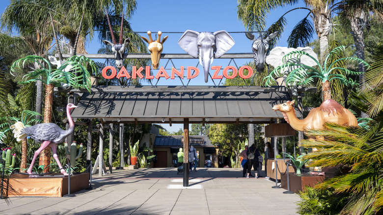 The entrance to the Oakland Zoo, surrounded by animal statues