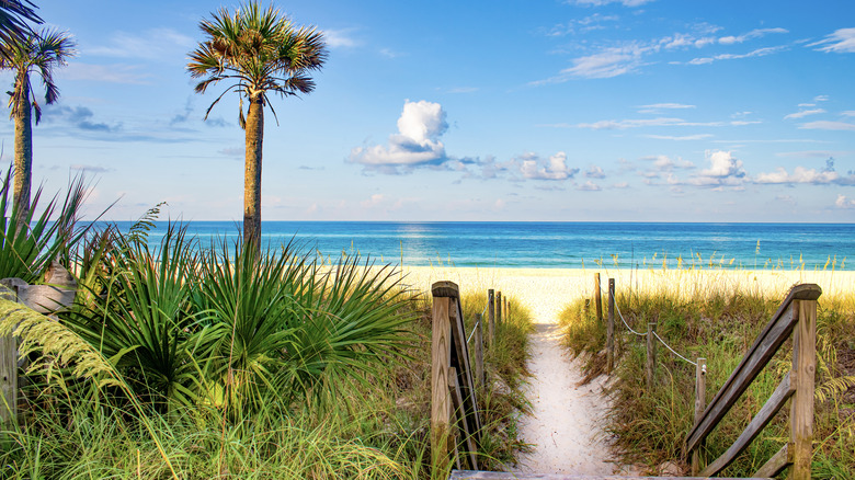 A path leading to the ocean in Panama City, Florida