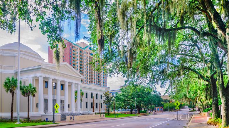 A courthouse seen through trees in Tallahassee, Florida