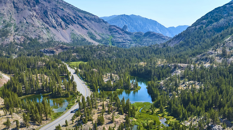 A view of the Tioga Road that leads to Tamarack Flat Campground