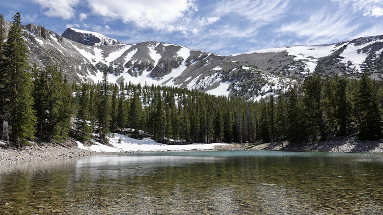 Stella Lake at Great Basin National Park in Nevada surrounded by evergreen trees, with a snow-capped mountain in the background