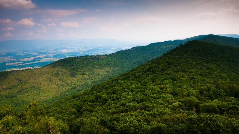 Mountain view from George Washington National Forest