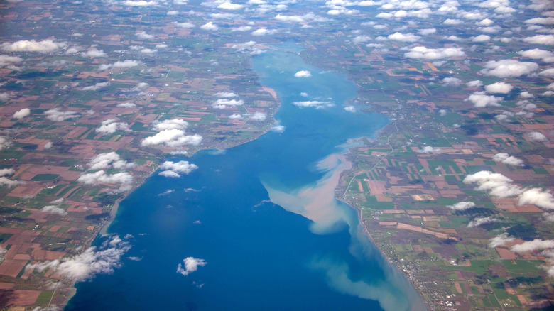 A aerial shot of Cayuga Lake in New York's Finger Lakes region