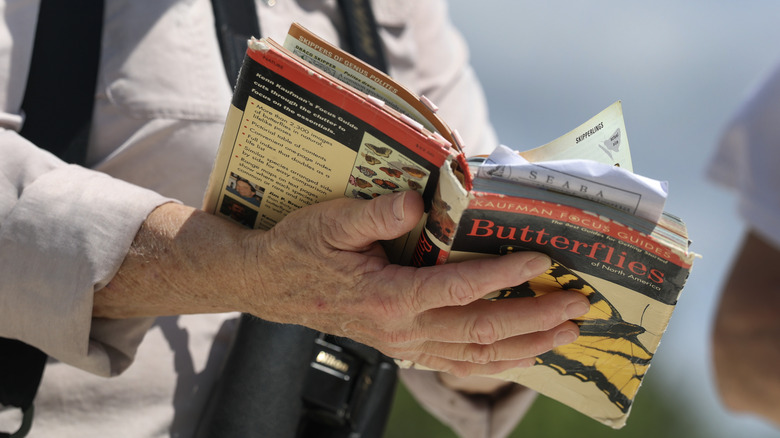 Traveler holding open a book on Butterflies