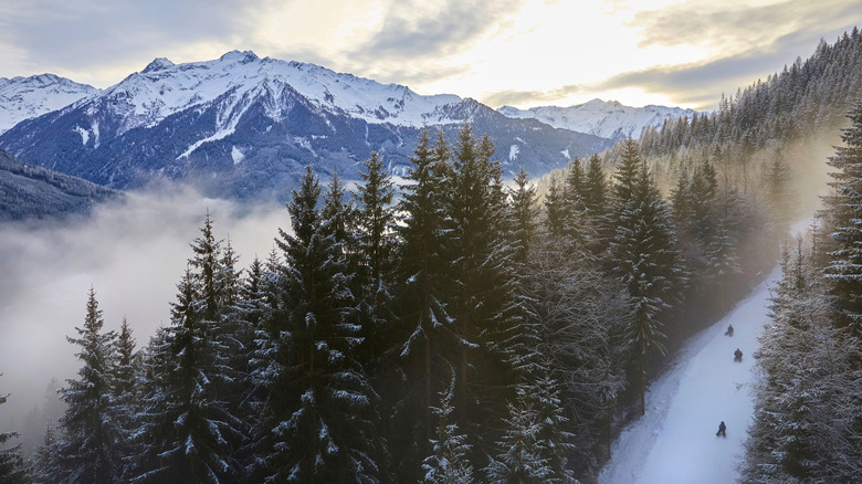 Aerial view of the toboggan run and alpine forest of Bramberg, Austria