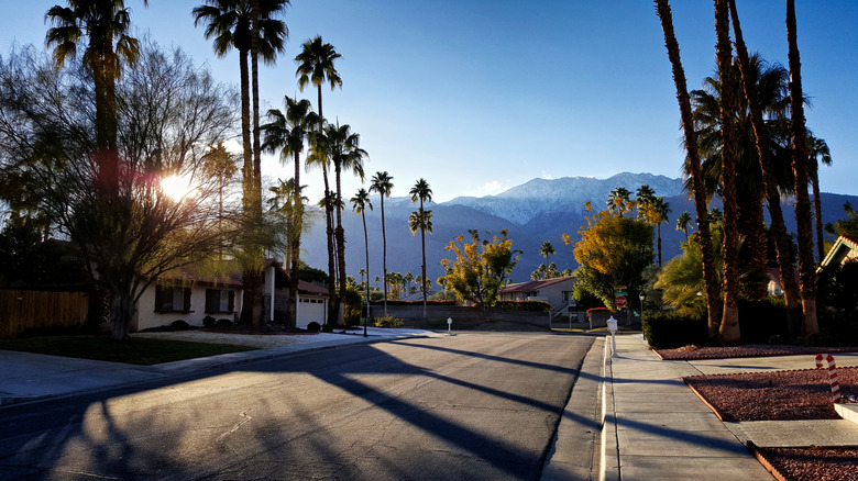The San Jacinto Mountains capped with white snow as seen from a quiet Palm Springs street with palm trees.