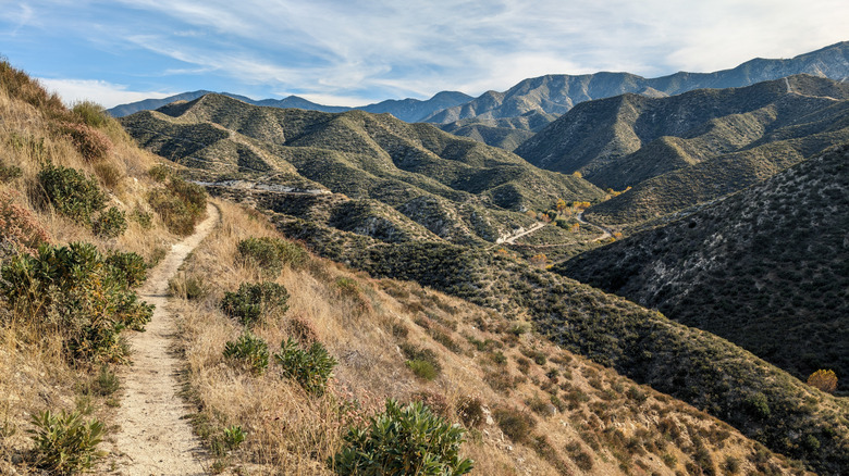 View of the Pacific Crest Trail approaching Indian Canyon in the Angeles National Forest