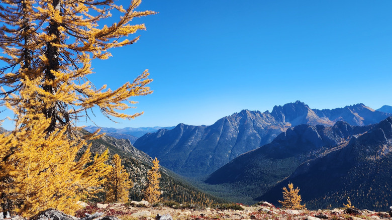 Cutthroat Pass, North Cascades National Park - Pacific Crest Trail with larches