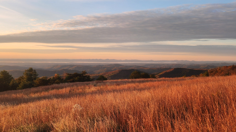 Sunrise in North Carolina, on Bluff Mountain in Doughton Park