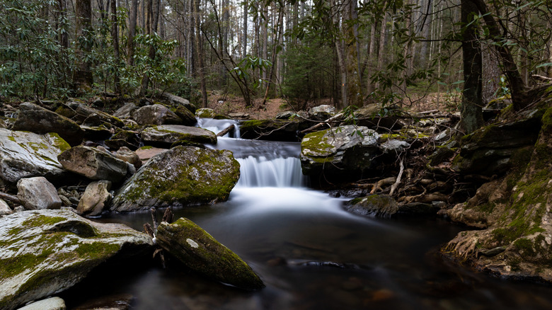 Small waterfall on Grassy Creek in Doughton Park near the Blue Ridge Parkway in North Carolina on a spring day