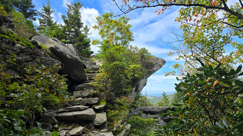 Stones steps along the Tanawha Trail lead up to a breathtaking slab overlook on the Rough Ridge in the Blue Ridge Mountains