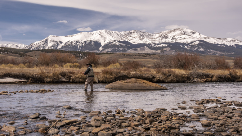 A person fly-fishing in the Arkansas River near Leadville, Colorado