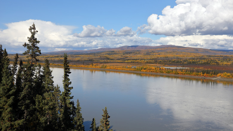 Yukon Crossing, Yukon River, Dalton Highway, Alaska