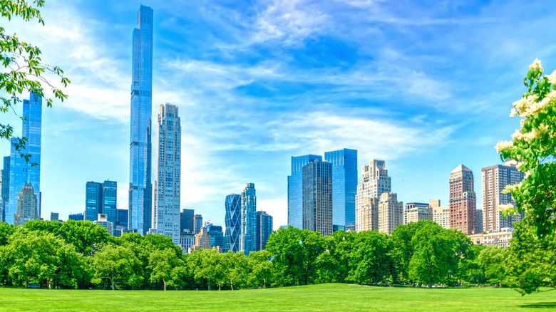 NYC Central Park in the spring