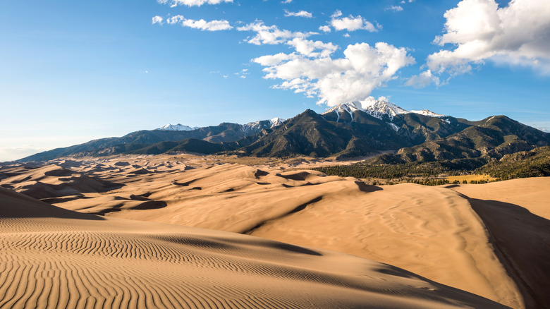 Sunset view on top of dunes in Great Sand Dune National Park