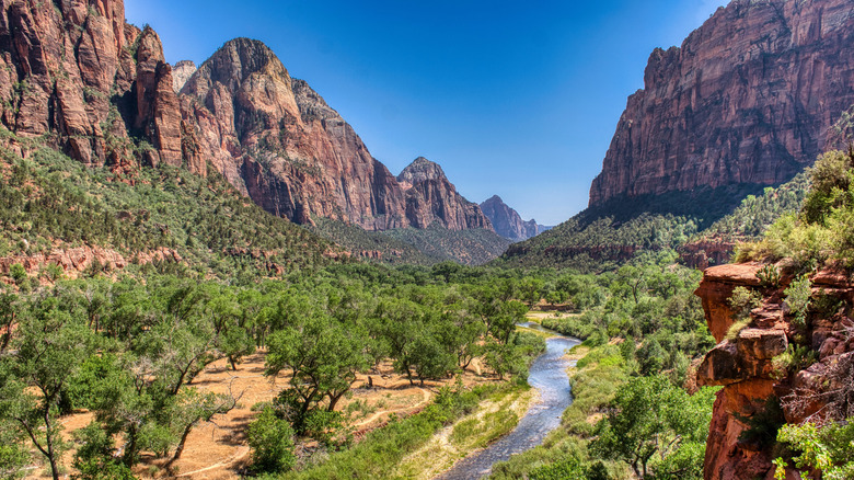Valley and river views in Zion National Park