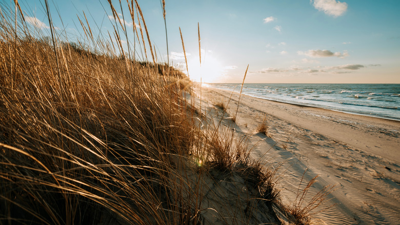 The shores of Lake Michigan
