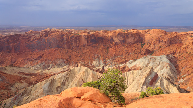 A view of Upheaval Dome in Utah