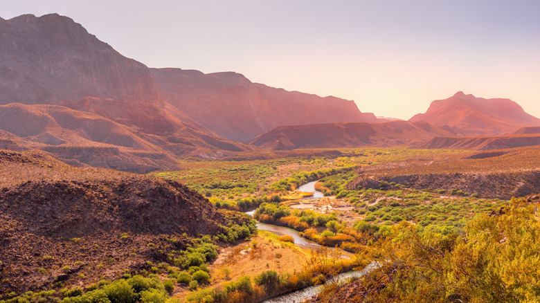 The Rio Grande River running through the Big Bend Ranch State Park