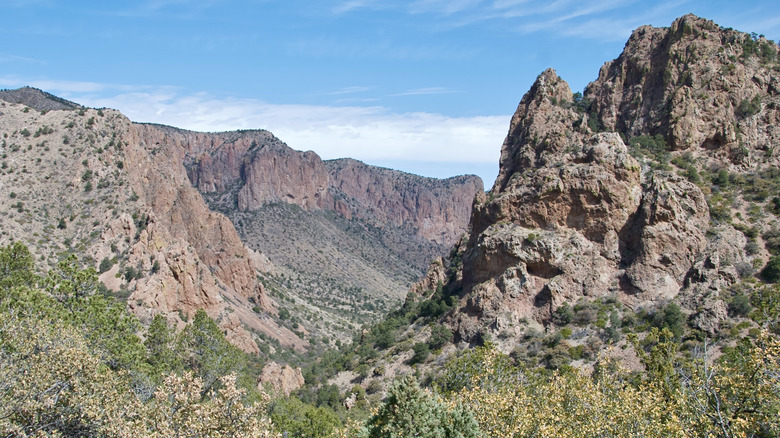 Mountain views from Big Bend National Park on a clear day