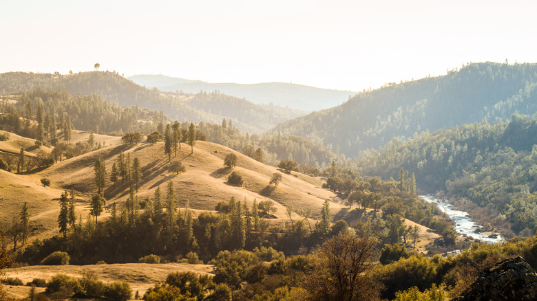 Golden hills and a river near around the town of Coloma, California