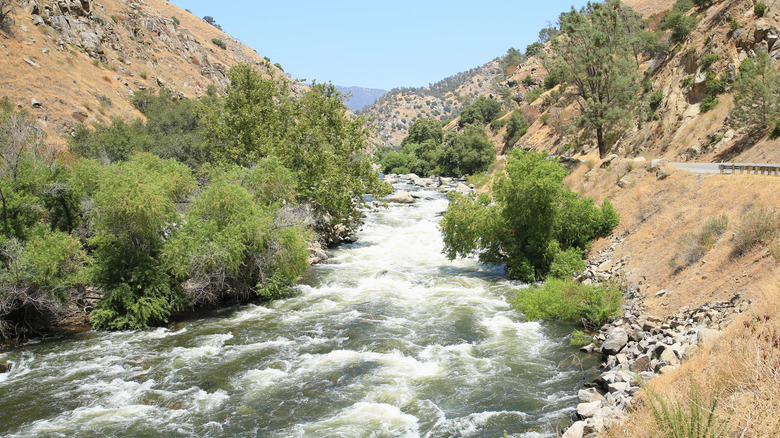Rapids on the Kern River in California