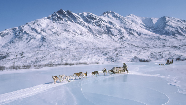 Two dogsledding teams crossing ice in Gates of the Arctic National Park