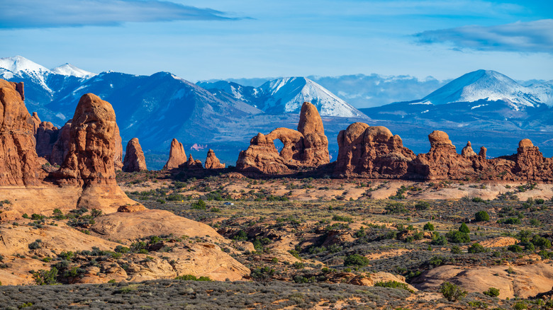 Hoodoos and desert terrain against blue mountains on a clear day
