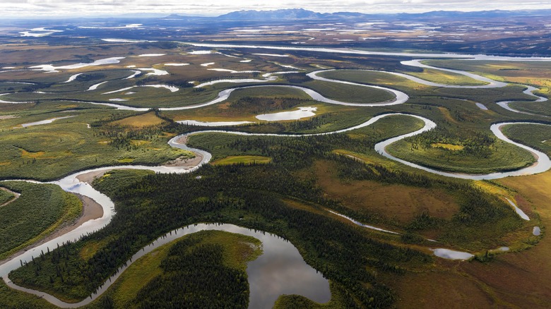 Winding rivers and lush green plains in Kobuk Valley National Park