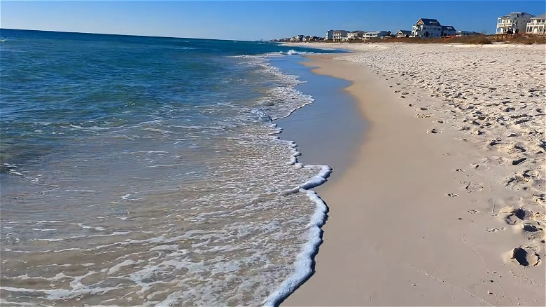 Sandy shore of Camp Helen State Park