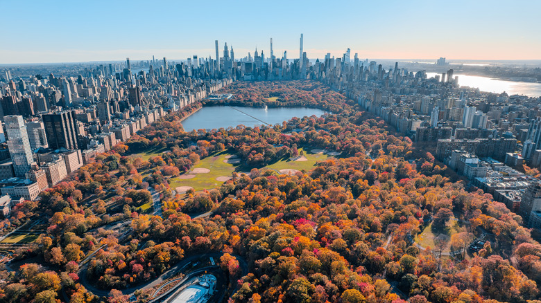 New York's Central Park, showing fall foliage surrounded by buildings
