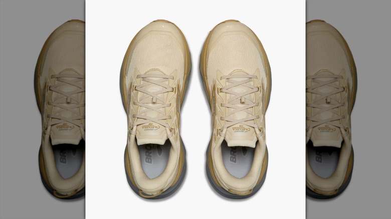 A pair of Brooks Cascadia 19 trail running shoes, seen from the top