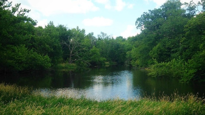 scenic view of the river and trees from the Sugar River State Trail