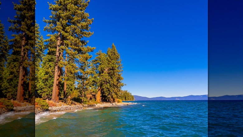 Shoreline at Ed Z'berg Sugar Pine Point State Park in Lake Tahoe