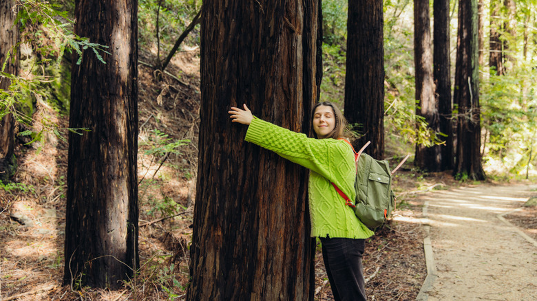 A woman hugs a tree on a hiking trail in Julia Pfeiffer Burns State Park.