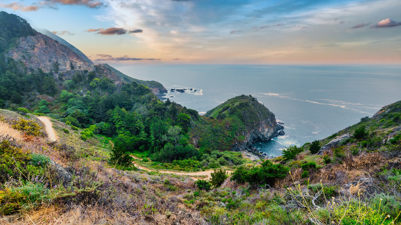 A dirt path winds through a coastal canyon in Big Sur.