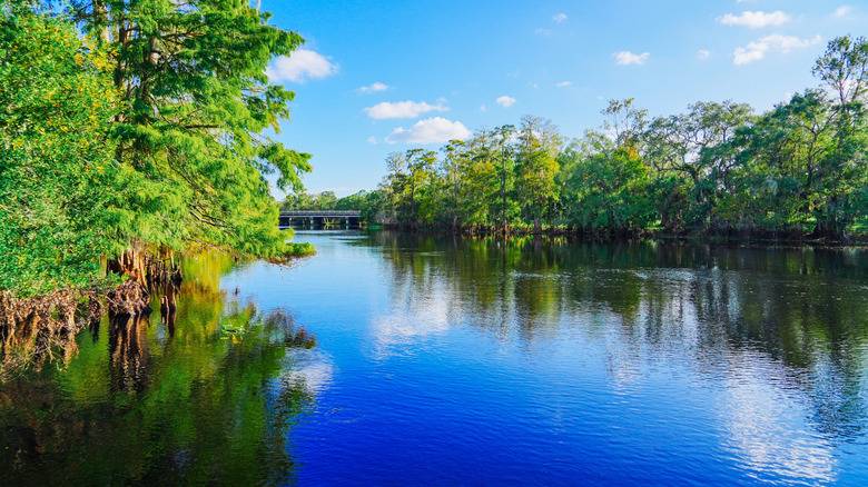 river, greenery, and bridge on bright sunny day